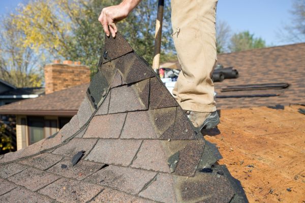 Shingle Roofing Repair Services