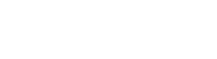 Ensured Roofing logo long